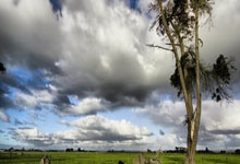 PG电子- 蔡志忠霸气语录 